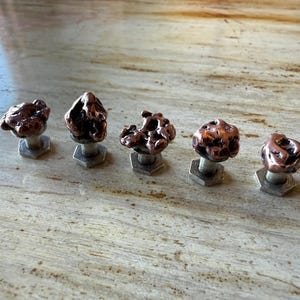 May include: Five copper-colored cabinet knobs with a textured, organic design. Each knob is mounted on a silver-colored, hexagonal base. The knobs are arranged in a row, showcasing their unique shapes and finishes.