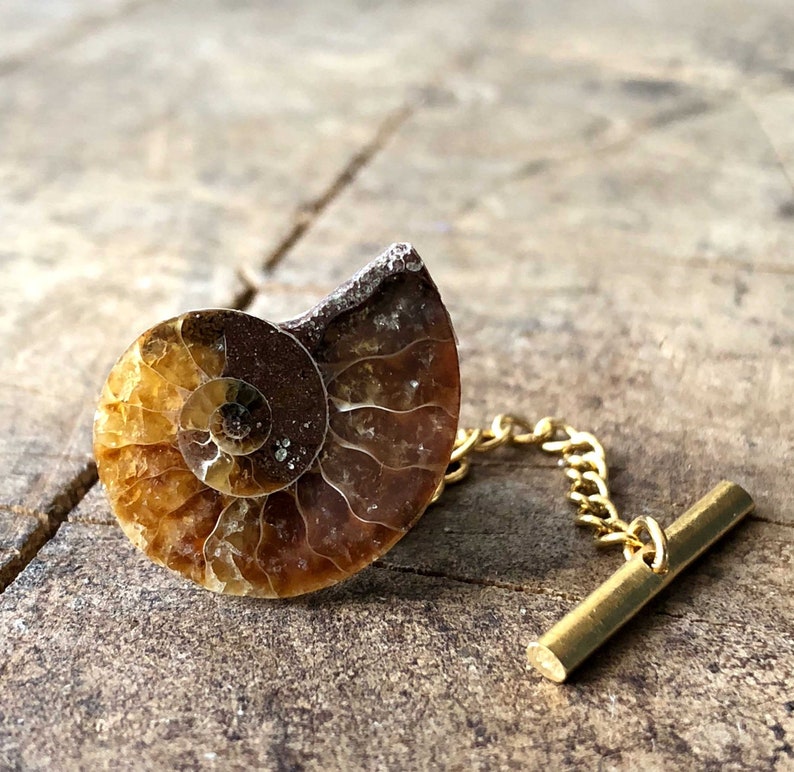 Ammonite Fossil Tie Tack, Golden ratio tie pin. Geologist gift, paleontologist, beach wedding men, for the groom. Husband gift, Dad gift image 6