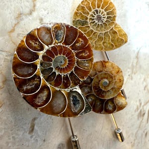 Ammoniten-Anstecknadel, fossile Muschelnadel. Boutonnière, Hutnadel, Anstecknadel für den Hochzeitsanzug des Bräutigams, Reversnadel, Paläontologie, Strandhochzeit. Fossiles Revers