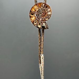 May include: A bolo tie featuring a polished, spiral-shaped brown ammonite fossil centrepiece. The fossil is mounted on a braided brown leather cord that terminates in two long, slender, silver-toned metal tips with engraved linear patterns.