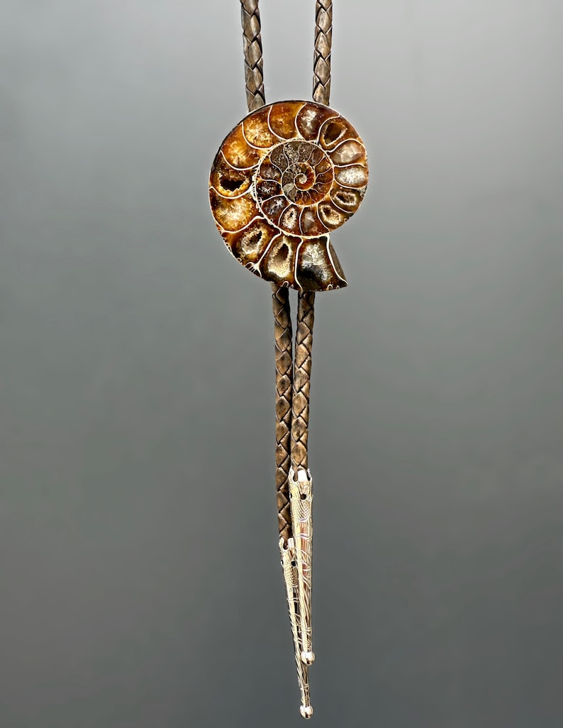 May include: A bolo tie featuring a polished, spiral-shaped brown ammonite fossil centrepiece. The fossil is mounted on a braided brown leather cord that terminates in two long, slender, silver-toned metal tips with engraved linear patterns.