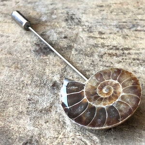 Ammonite Lapel Pin, fossil shell stick pin. Boutonniere, hat pin, groom's wedding suit, lapel pin, paleontology, beach wedding. Fossil lapel image 8