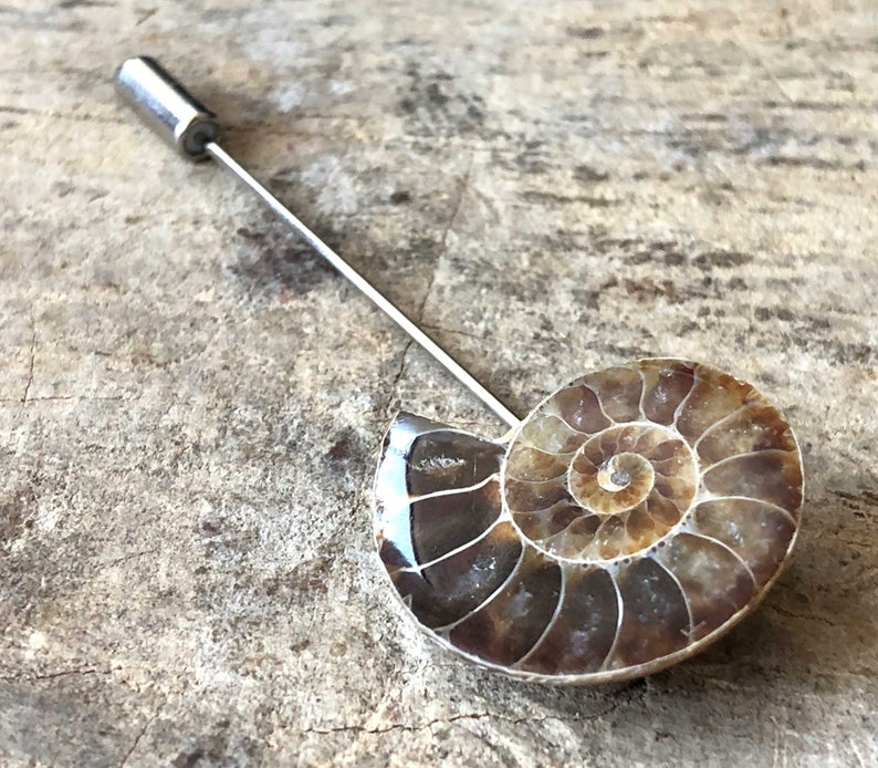 Ammonite Lapel Pin, fossil shell stick pin. Boutonniere, hat pin, groom's wedding suit, lapel pin, paleontology, beach wedding. Fossil lapel image 8