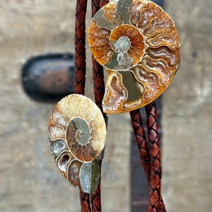 Two bolo ties featuring polished ammonite fossils with a brown leather braided cord. The fossils display intricate spiral patterns in shades of brown, tan, and gray. The leather cord is a rich, dark brown.
