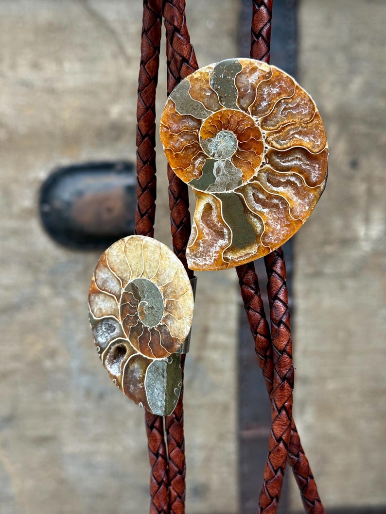 Two bolo ties featuring polished ammonite fossils with a brown leather braided cord. The fossils display intricate spiral patterns in shades of brown, tan, and gray. The leather cord is a rich, dark brown.