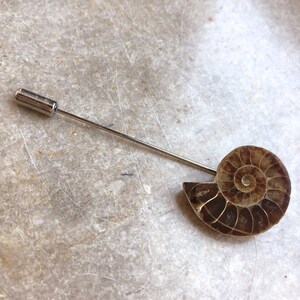 Ammonite Lapel Pin, fossil shell stick pin. Boutonniere, hat pin, groom's wedding suit, lapel pin, paleontology, beach wedding. Fossil lapel image 9