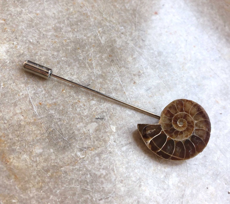 Ammonite Lapel Pin, fossil shell stick pin. Boutonniere, hat pin, groom's wedding suit, lapel pin, paleontology, beach wedding. Fossil lapel image 9