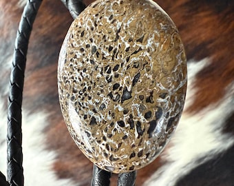 Real Dinosaur Bone Bolo Tie – Theropod Fossil Gembone from Morocco, Western Formal, Paleontology Gift, Men’s Science Wedding Bola