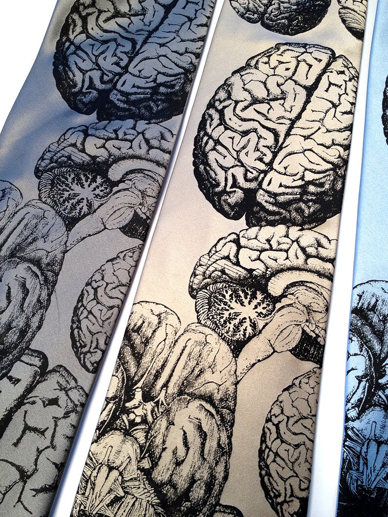 May include: Three silk ties with a black and white anatomical brain print. The ties are on a white background.
