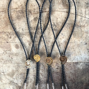 May include: Four bolo ties featuring circular ammonite fossil pendants in shades of brown and tan. Each pendant is attached to a black braided cord with silver-toned metal tips at the ends. The fossils display intricate spiral patterns.