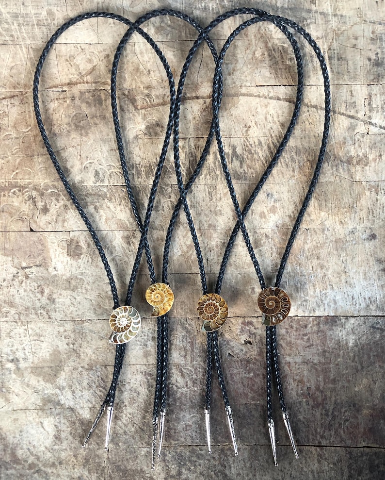 May include: Four bolo ties featuring circular ammonite fossil pendants in shades of brown and tan. Each pendant is attached to a black braided cord with silver-toned metal tips at the ends. The fossils display intricate spiral patterns.