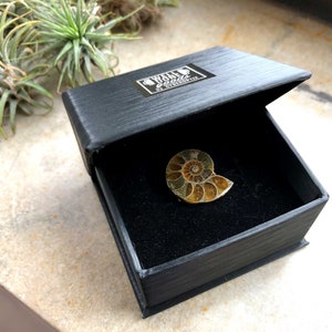 Ammonite Fossil Tie Tack, Golden ratio tie pin. Geologist gift, paleontologist, beach wedding men, for the groom. Husband gift, Dad gift image 2