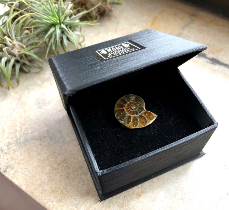 Ammonite Fossil Tie Tack, Golden ratio tie pin. Geologist gift, paleontologist, beach wedding men, for the groom. Husband gift, Dad gift image 2
