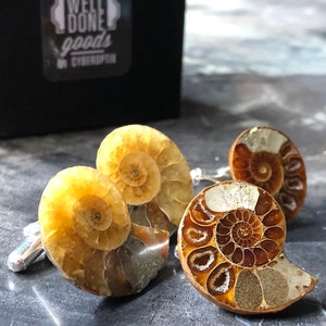 Multicolor Ammonite Fossil Cufflinks with silver French cuff hardware, shown on a beige marble table.