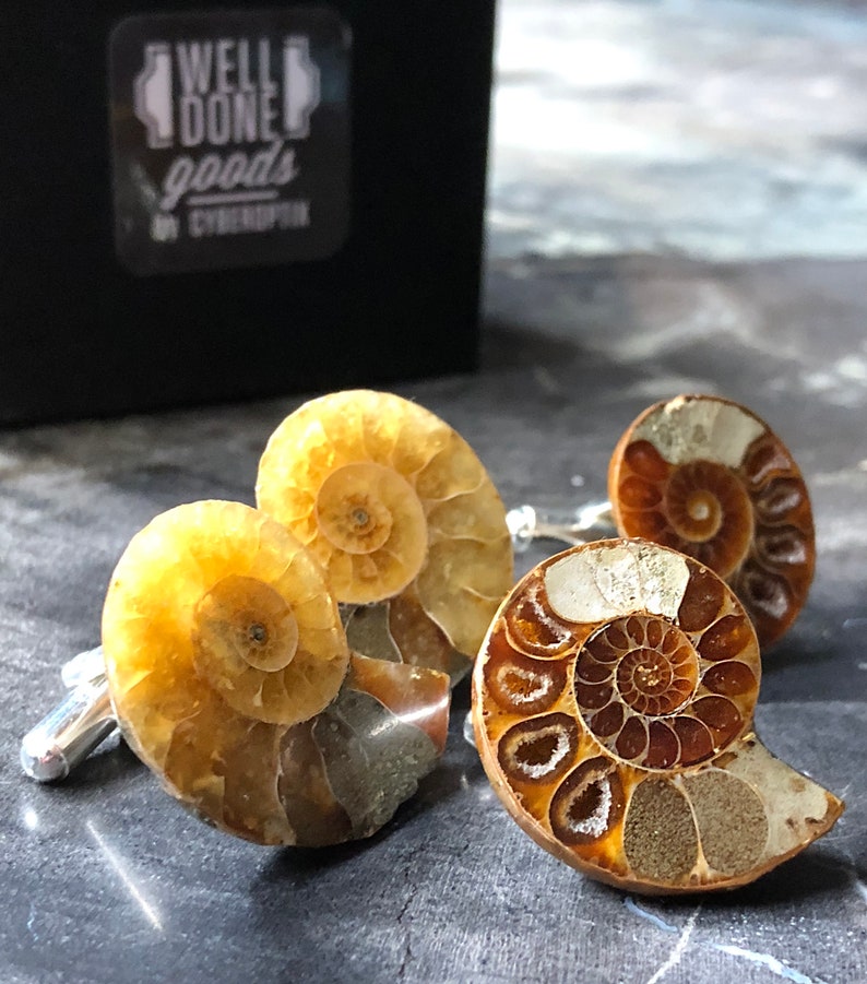 Multicolor Ammonite Fossil Cufflinks with silver French cuff hardware, shown on a beige marble table.