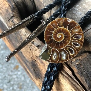 May include: A bolo tie featuring a polished brown ammonite fossil centrepiece with visible spiral chambers. The cord is made of braided black leather, and the two metal tips are engraved with a detailed, textured pattern in a silver tone.