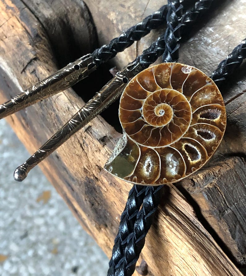 May include: A bolo tie featuring a polished brown ammonite fossil centrepiece with visible spiral chambers. The cord is made of braided black leather, and the two metal tips are engraved with a detailed, textured pattern in a silver tone.