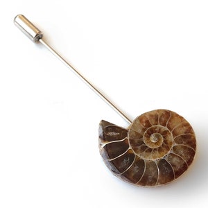 Ammonite Lapel Pin, fossil shell stick pin. Boutonniere, hat pin, groom's wedding suit, lapel pin, paleontology, beach wedding. Fossil lapel image 1
