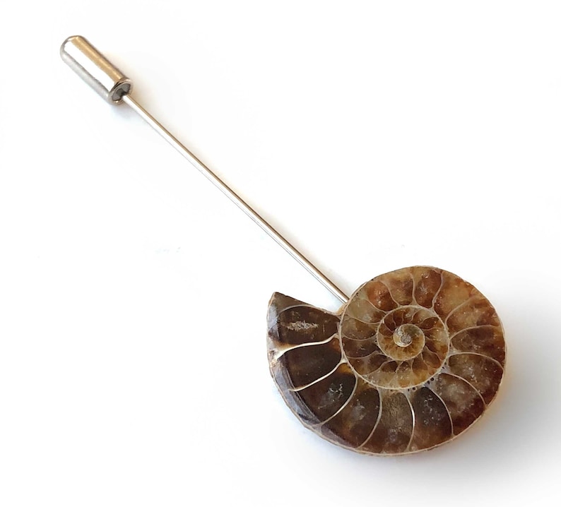 Ammonite Lapel Pin, fossil shell stick pin. Boutonniere, hat pin, groom's wedding suit, lapel pin, paleontology, beach wedding. Fossil lapel image 1