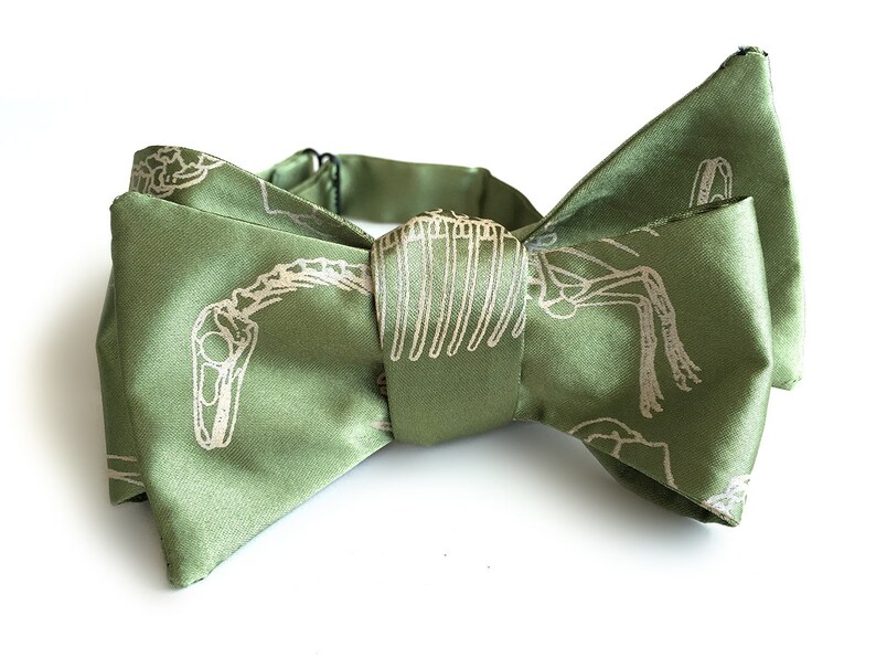 May include: A green bow tie with a white dinosaur skeleton print.
