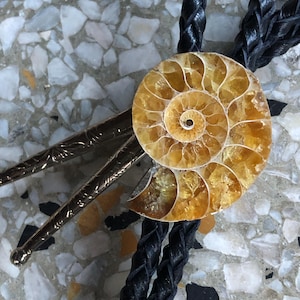 May include: A bolo tie featuring a circular, golden-yellow ammonite fossil centrepiece with a spiral pattern. The fossil is mounted on a black braided leather cord, which is finished with two long, slender, metallic silver-toned tips with engraved details.