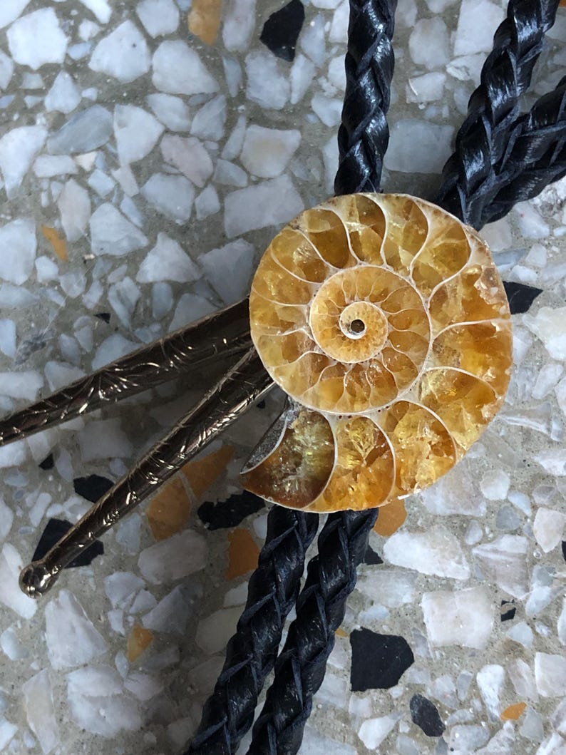 May include: A bolo tie featuring a circular, golden-yellow ammonite fossil centrepiece with a spiral pattern. The fossil is mounted on a black braided leather cord, which is finished with two long, slender, metallic silver-toned tips with engraved details.