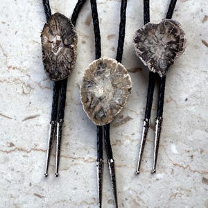 May include: Three bolo ties featuring polished, irregular slices of petrified wood in shades of brown, gray, and cream. Each tie has a black braided leather cord finished with silver-toned metal tips that feature an engraved floral pattern.