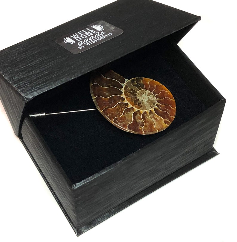 Ammonite Lapel Pin, fossil shell stick pin. Boutonniere, hat pin, groom's wedding suit, lapel pin, paleontology, beach wedding. Fossil lapel image 2