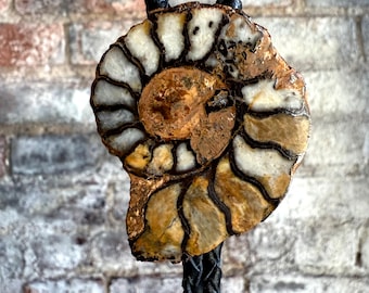 Hematite Ammonite Fossil Bolo Tie – Rare Jurassic Moroccan Specimen with Iron Replacement, Rugged Collector Jewelry for Men, Natural History