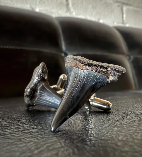 Authentic Megalodon Tooth Cufflinks. Fossil shark teeth cuff links. Gift for diver, unique men's cuff links, grooms cufflinks, beach wedding