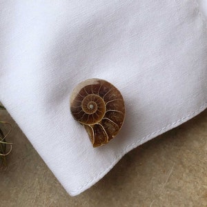 Ammonite Fossil Cufflinks. Golden ratio, men's cufflinks. For Dad, gift for him, groom's cufflinks, beach wedding men, cufflink collector image 8