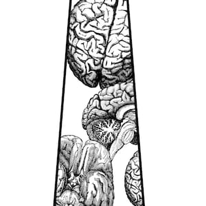 Anatomical Brain Necktie. Brainstorming, brain slice mens tie. Neuroscientist, neurology, brain surgeon, smart guy, gift for boyfriend, grad image 5