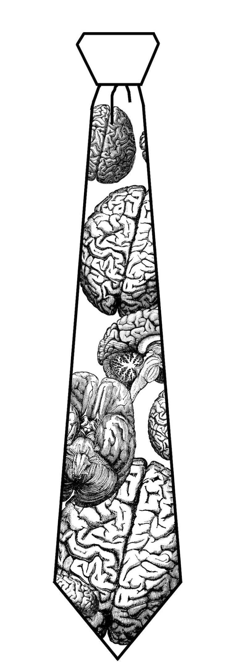 Anatomical Brain Necktie. Brainstorming, brain slice mens tie. Neuroscientist, neurology, brain surgeon, smart guy, gift for boyfriend, grad image 5