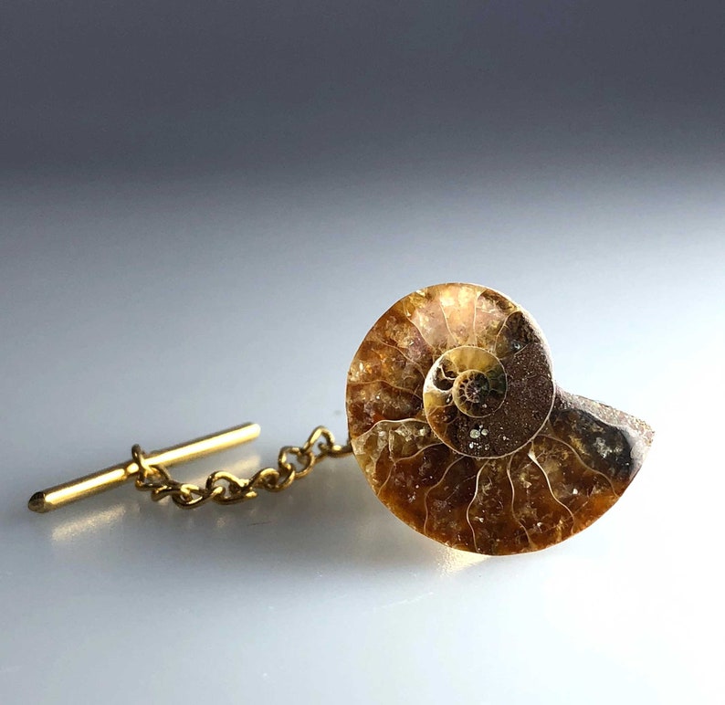 Ammonite Fossil Tie Tack, Golden ratio tie pin. Geologist gift, paleontologist, beach wedding men, for the groom. Husband gift, Dad gift image 4