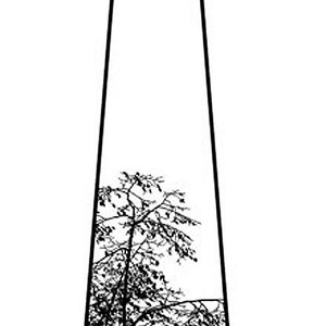 May include: A black and white illustration of a tie with a tree silhouette design.