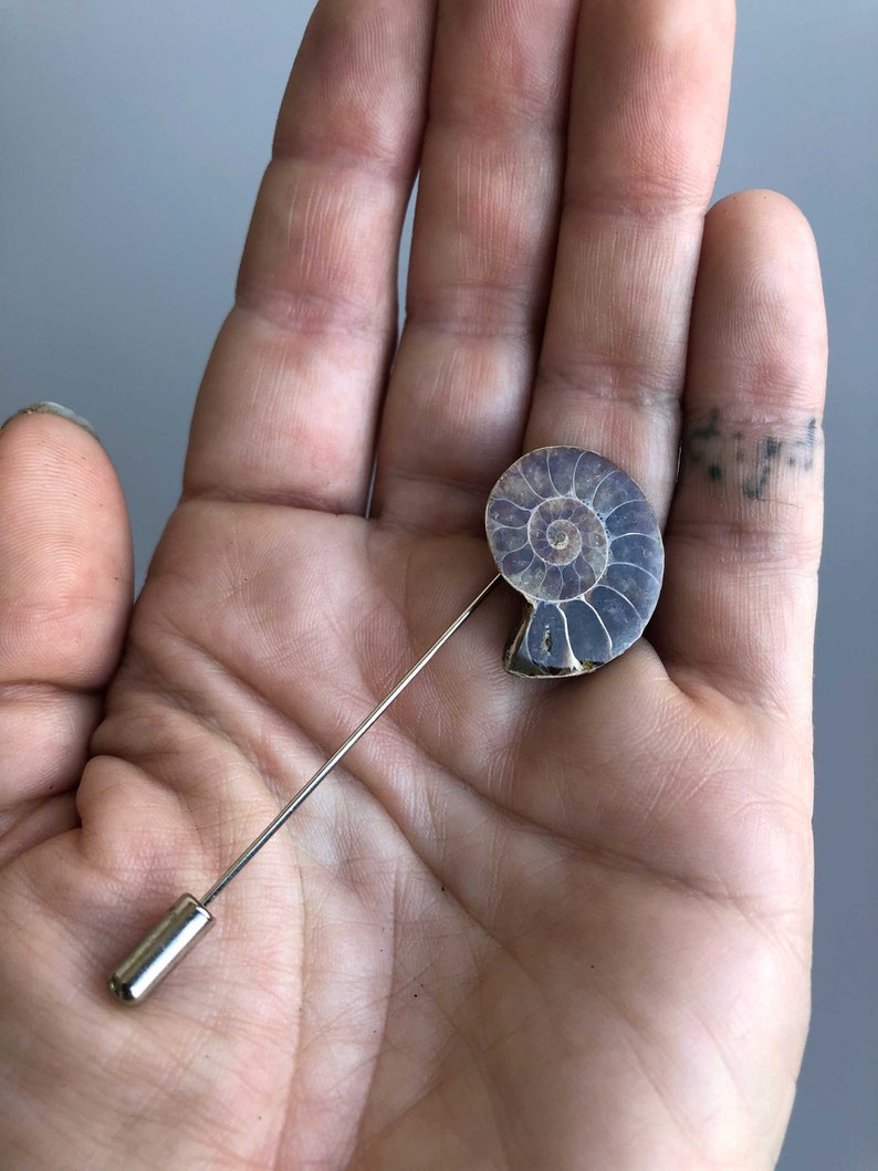 Ammonite Lapel Pin, fossil shell stick pin. Boutonniere, hat pin, groom's wedding suit, lapel pin, paleontology, beach wedding. Fossil lapel image 10