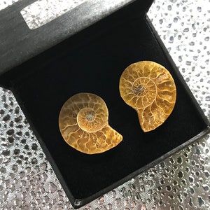 Ammonite Fossil Cufflinks in honey yellow shades in their black gift/presentation box.