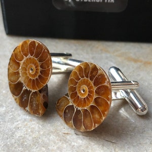 Ammonite Fossil Cufflinks. Golden ratio, men's cufflinks. For Dad, gift for him, groom's cufflinks, beach wedding men, cufflink collector image 9