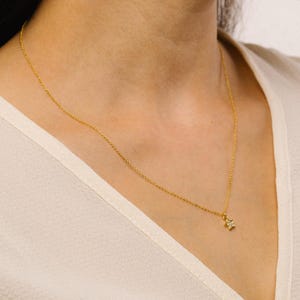 Puede incluir: Un delicado collar dorado con un pequeño colgante de estrella. El colgante de estrella está adornado con pequeños detalles brillantes. El collar se lleva sobre una parte superior de color claro, resaltando el diseño de la joya.