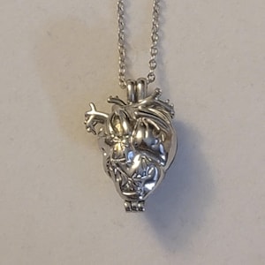 Op de afbeelding: Een zilveren ketting met een hartvormige hanger met een gedetailleerd anatomisch ontwerp. De hanger is open en klaar om een ​​speciale boodschap of een aandenken te bevatten.