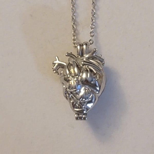 Silver Anatomical Heart Cremation Urn Locket Necklace, Cremation Jewelry, Necklace For Ashes, Cremation Necklace, Anatomical Heart Urn, Gift