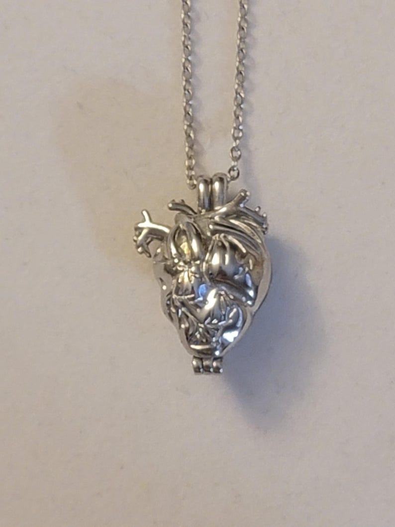 Op de afbeelding: Een zilveren ketting met een hartvormige hanger, versierd met een gedetailleerd anatomisch ontwerp. De hanger is open en lijkt leeg te zijn.