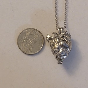 Op de afbeelding: Een zilveren ketting met een gedetailleerde anatomische hart hanger. De hanger is ongeveer zo groot als een kwart.