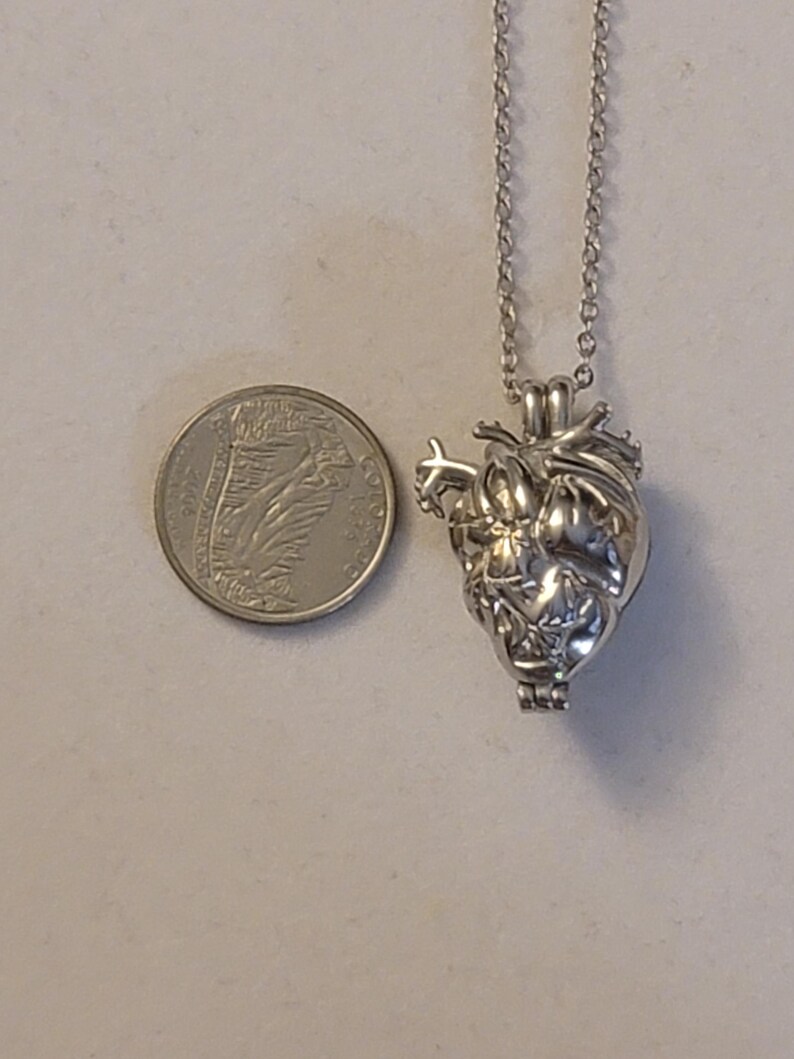 Op de afbeelding: Een zilveren ketting met een gedetailleerde anatomische hart hanger. De hanger is ongeveer zo groot als een kwart.