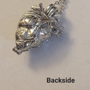 Op de afbeelding: Zilveren anatomisch hartvormige hangerketting met een gedetailleerd ontwerp. Het hart is open en heeft een scharnierend deksel. De ketting is van zilver.