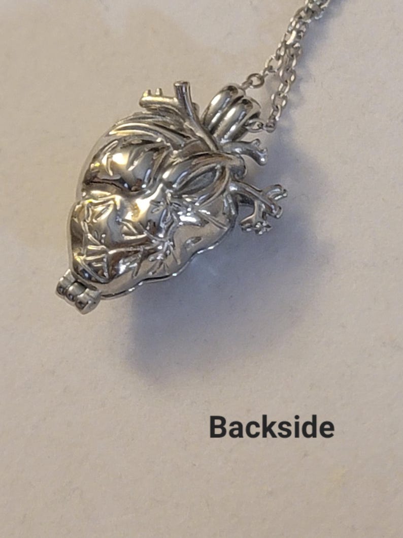 Op de afbeelding: Zilveren anatomisch hartvormige hangerketting met een gedetailleerd ontwerp. Het hart is open en heeft een scharnierend deksel. De ketting is van zilver.