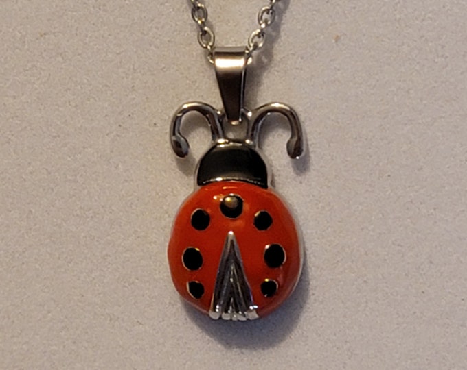 Silver and Red Ladybug Cremation Urn Necklace, Cremation Jewelry, Urn Jewelry, Urn Necklace, Memorial Jewelry, Memorial Necklace, Necklace