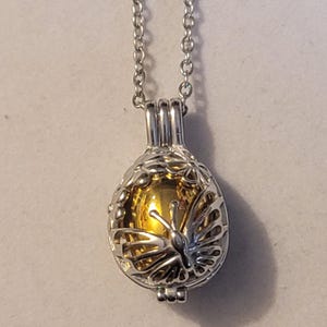 Butterfly Cremation Locket: Silver and Gold Stainless Steel Urn Necklace
