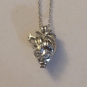 Op de afbeelding: Een zilveren ketting met een gedetailleerde anatomische hart hanger.
