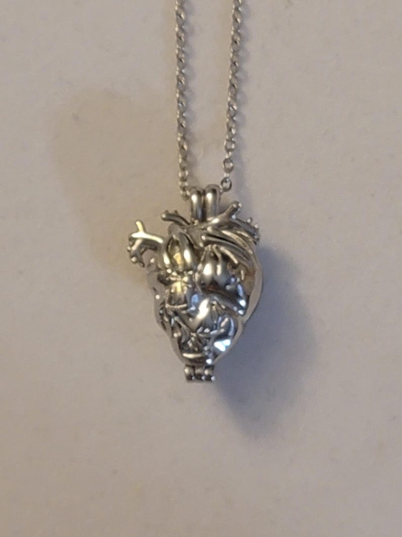 Op de afbeelding: Een zilveren ketting met een gedetailleerde anatomische hart hanger.